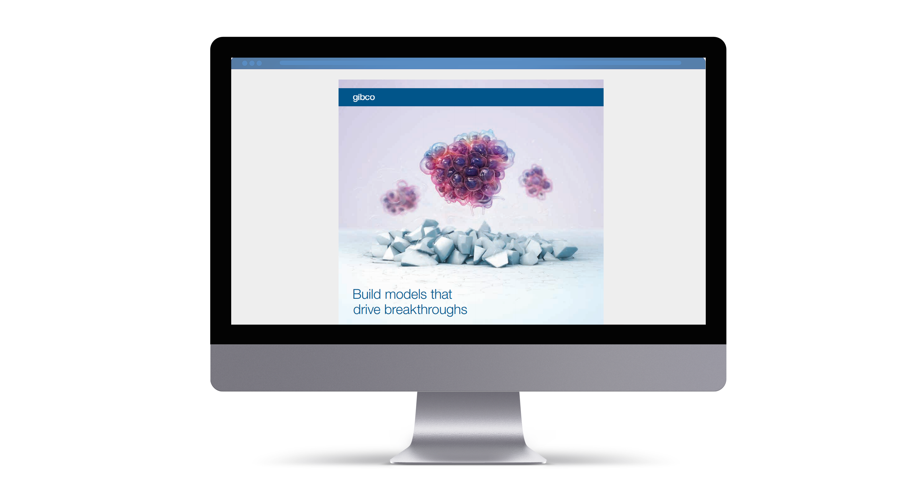 Gibco™ Education Cancer Cell Culture Basics Handbook